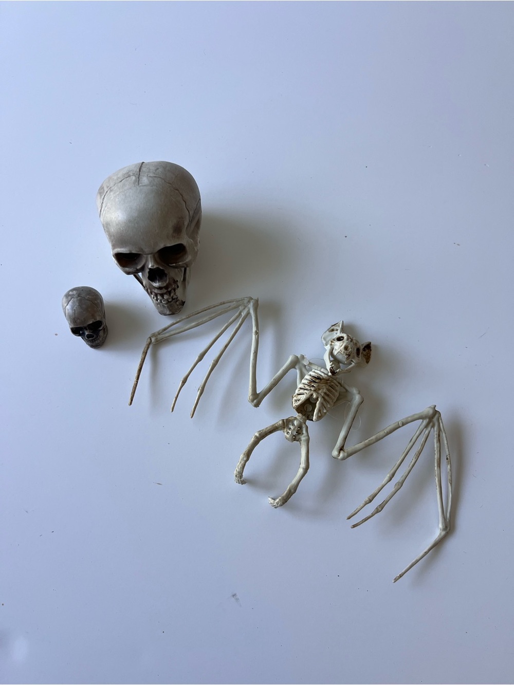 Halloween Plastic Skeleton Bat and Skulls Decor